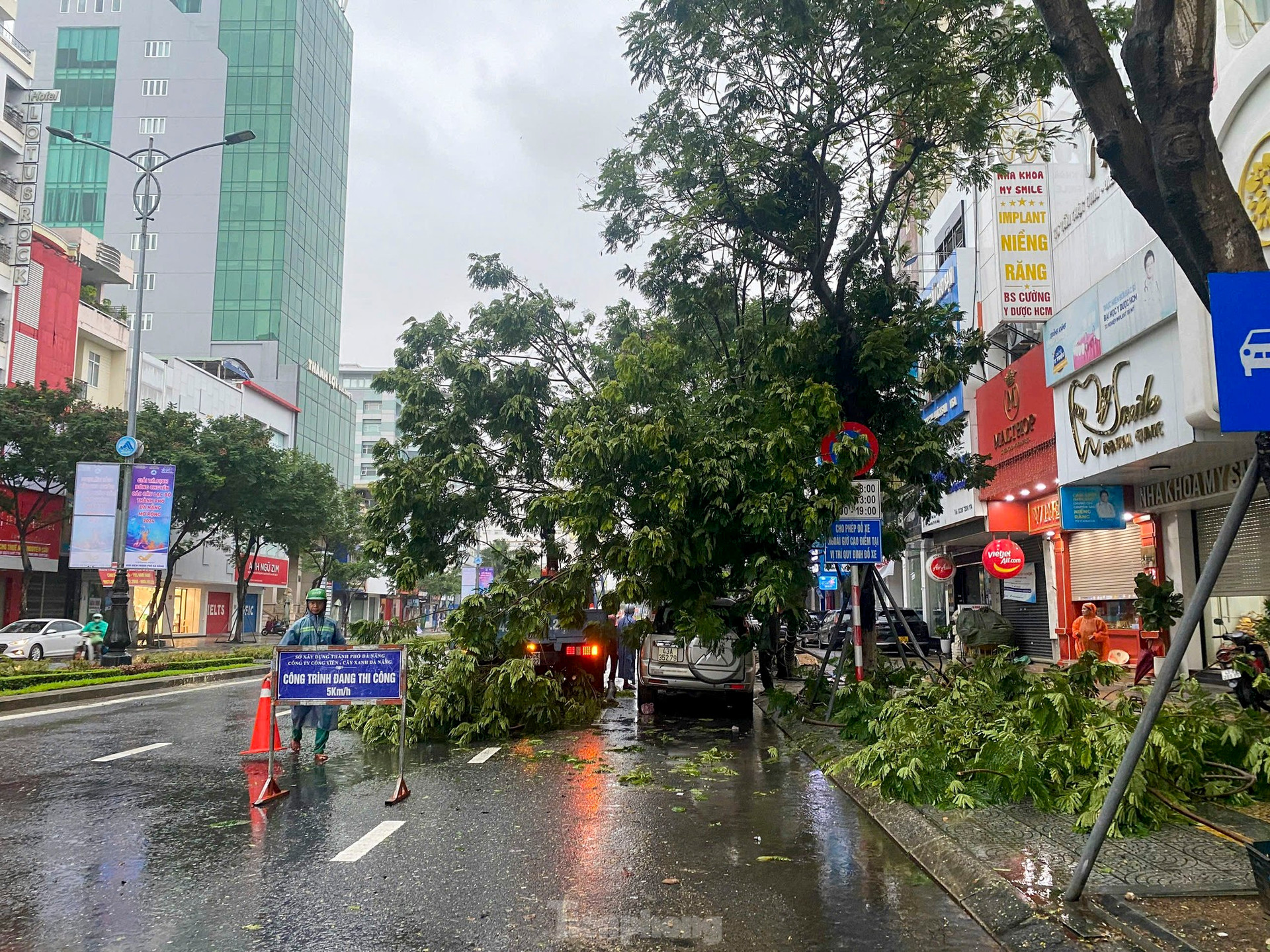 Bão số 6 áp sát, nước biển dâng cao, cây xanh gãy đổ la liệt ảnh 12