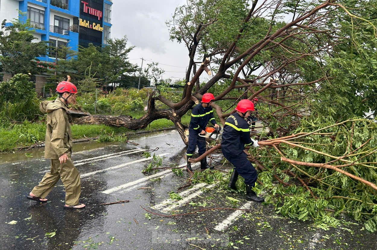 Cây xanh bật gốc chắn ngang nhiều tuyến đường ở Đà Nẵng ảnh 7