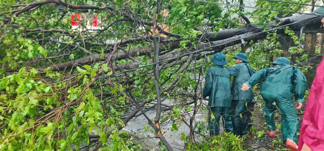 Công an, quân đội giúp dân khắc phục hậu quả bão số 6 Trà Mi ảnh 5