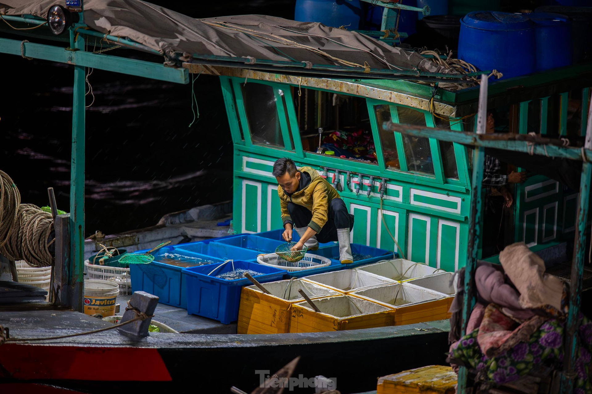 Chợ cá 'không ngủ' duy nhất ở vịnh Hạ Long ảnh 4