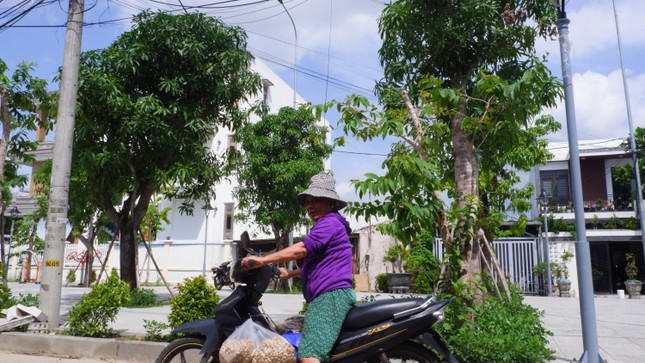 Giữ đất, trồng cây cho thế hệ sau ảnh 2