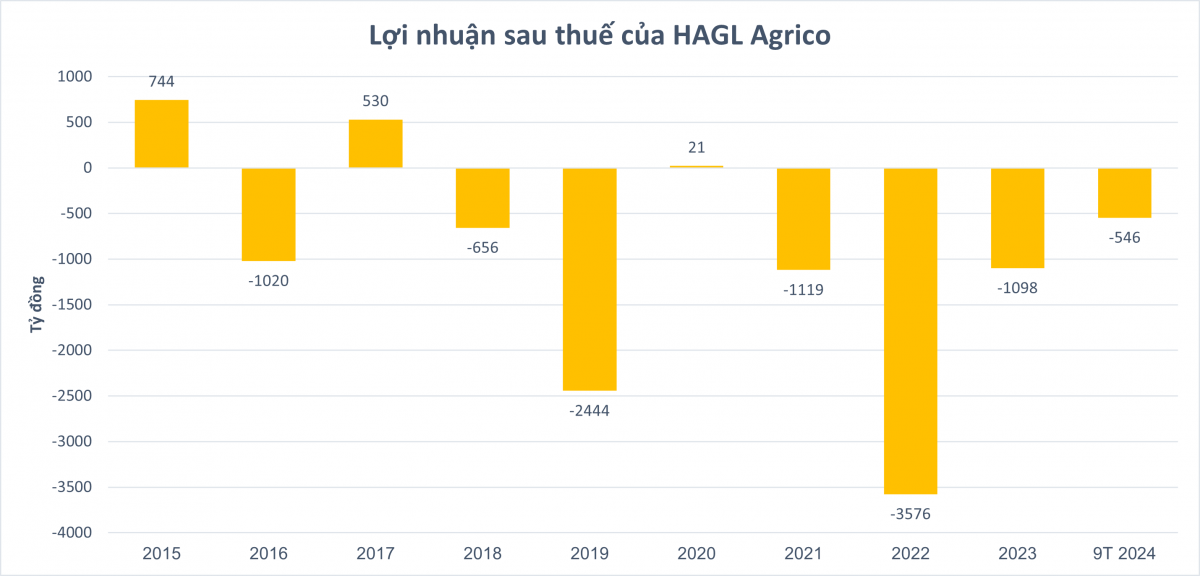 Đi ngược kế hoạch mở rộng diện tích, HAGL Agrico đã chặt 1.426ha chuối trong 1 năm qua