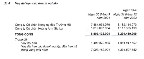 Vay nợ 9.600 tỷ đồng, ai đang là chủ nợ lớn nhất của HAGL Agrico (HNG)?