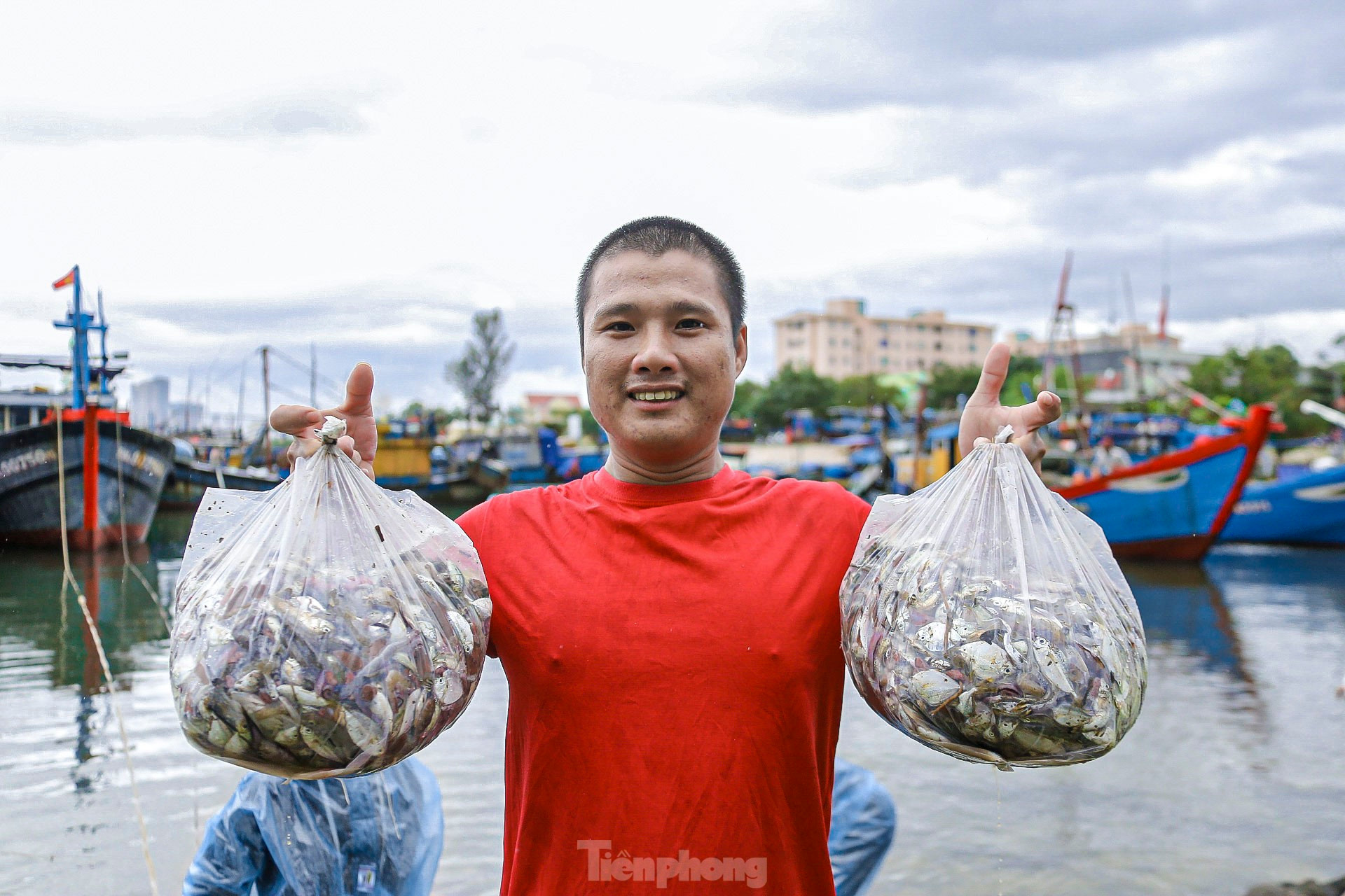 Ngư dân Đà Nẵng đánh bắt gần bờ, thu tiền triệu sau bão ảnh 4