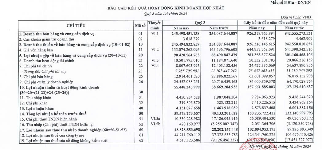 CEO Group (CEO) báo lãi quý III/2024 tăng 73%, sẽ ra mắt dự án BĐS nghỉ dưỡng cao cấp vào cuối năm