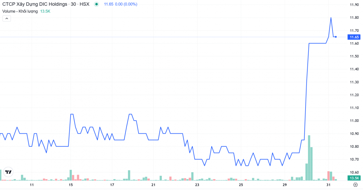 Công ty ‘họ’ DIC Corp (DIG) báo lãi tăng 5.700% trong 9 tháng đầu năm 2024