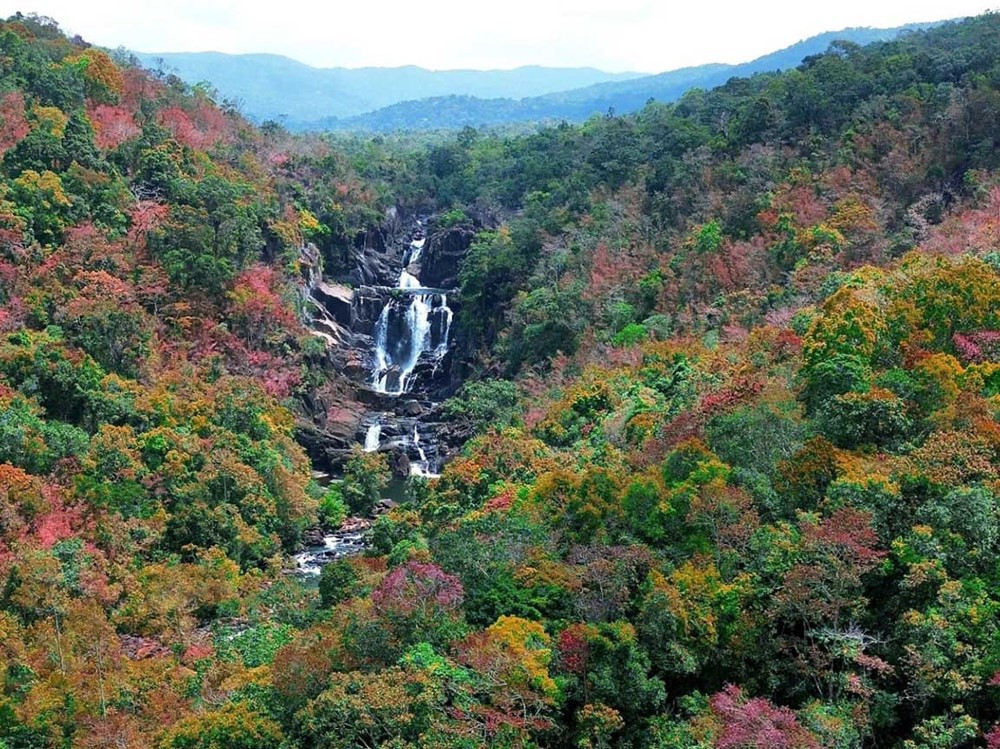 ‘Dòng thác ba hồ’ cao 50m ẩn mình giữa rừng già Tây Nguyên, cách trung tâm TP. Pleiku chỉ khoảng 25km - ảnh 4