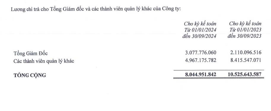 Hé lộ thu nhập của loạt lãnh đạo các công ty bất động sản Novaland, Đất Xanh...