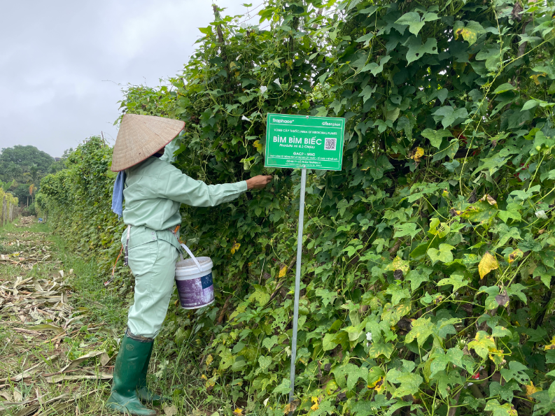 Đề xuất loại bỏ thuốc y học cổ truyền làm từ động, thực vật trong sách đỏ, có nguy cơ tuyệt chủng - ảnh 3