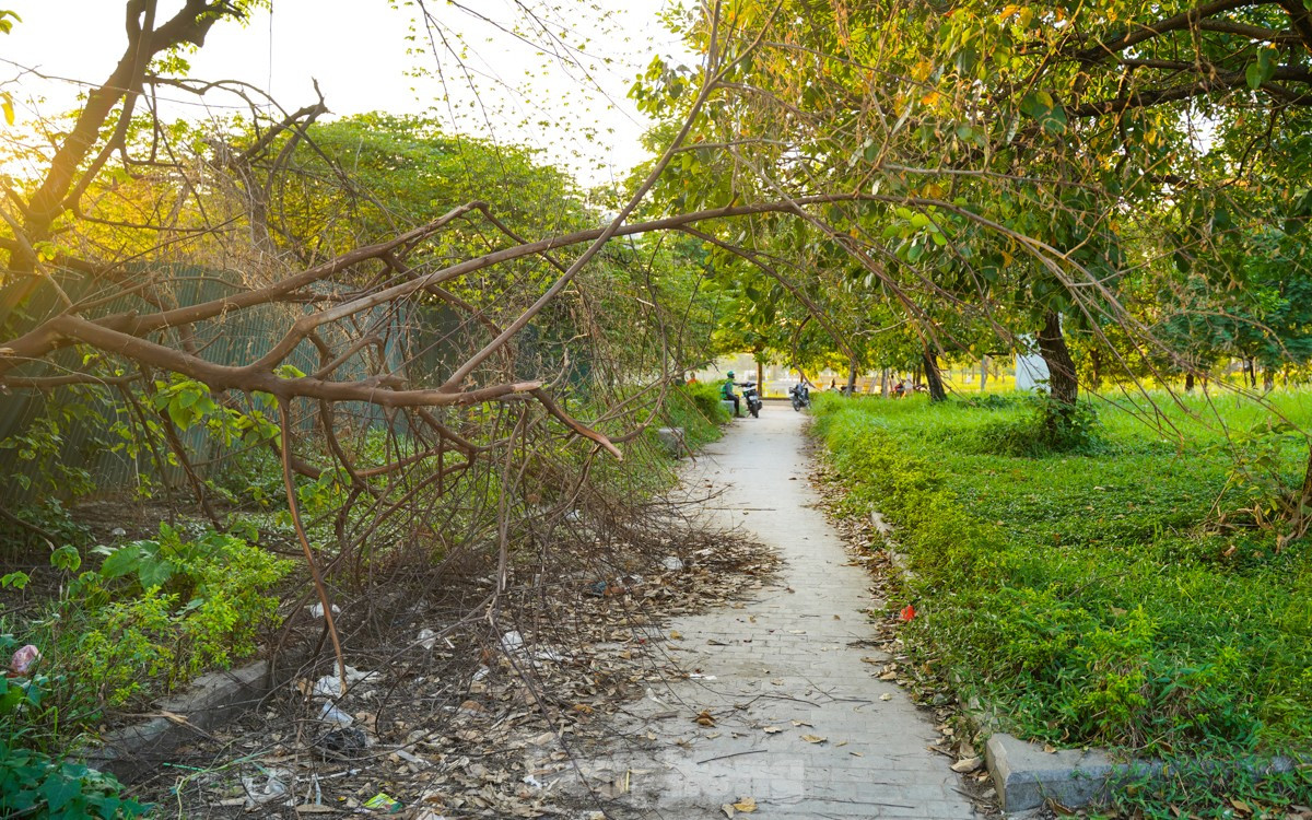 Công viên hồ điều hòa Mai Dịch xuống cấp, đường chạy bộ chi chít 'ổ gà, ổ voi' ảnh 9