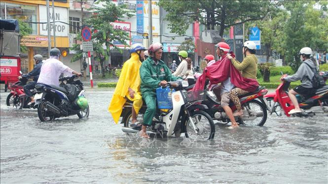 tin tuc.jpeg