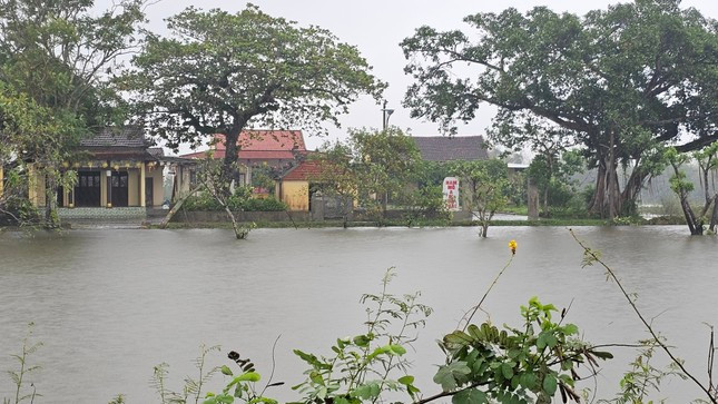 Chưa hết lụt, nhiều vùng trũng Thừa Thiên-Huế đối mặt mưa cực lớn, úng ngập trầm trọng ảnh 3