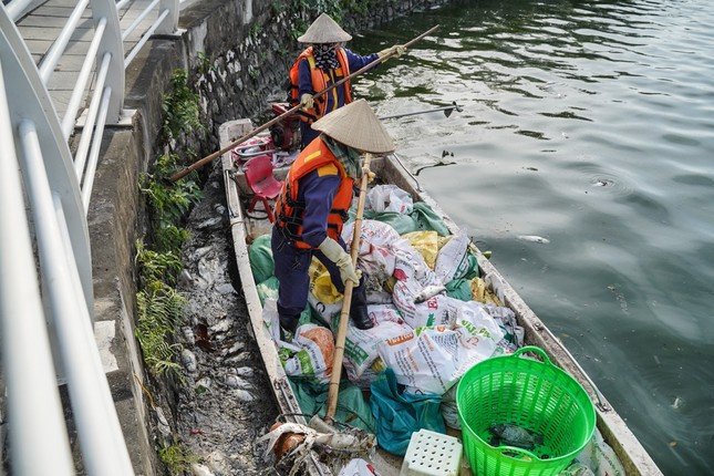 Đề xuất đánh bắt cá rô phi ngoại lai cứu môi trường hồ Tây ảnh 1