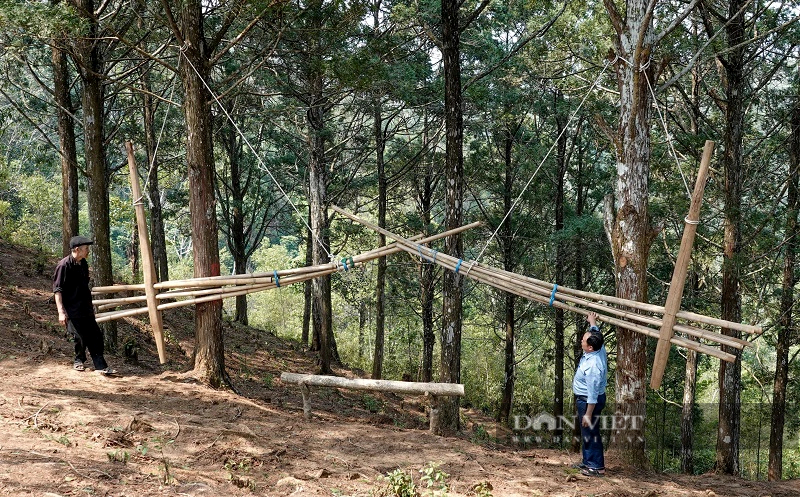 Khu rừng toàn gỗ quý ở nơi là ‘điểm đến đẹp siêu thực nhất thế giới’: Được bao thế hệ người Mông bảo vệ, hướng tới phát triển du lịch xanh - ảnh 2