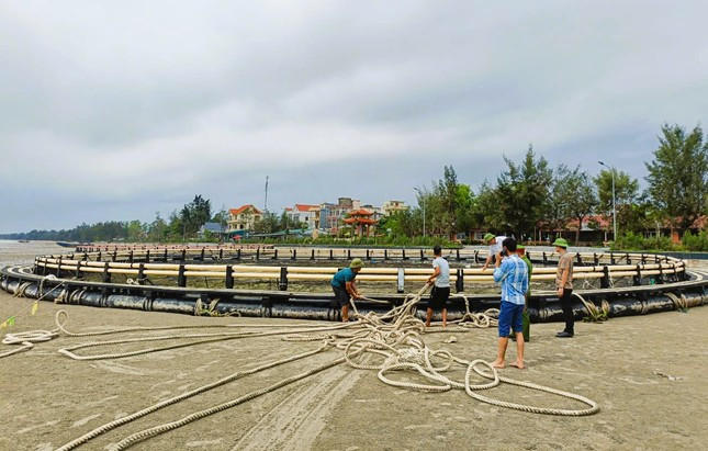 Lựa thủy triều để bàn giao lồng bè cho phía Trung Quốc bị bão Yagi đánh bay ảnh 1