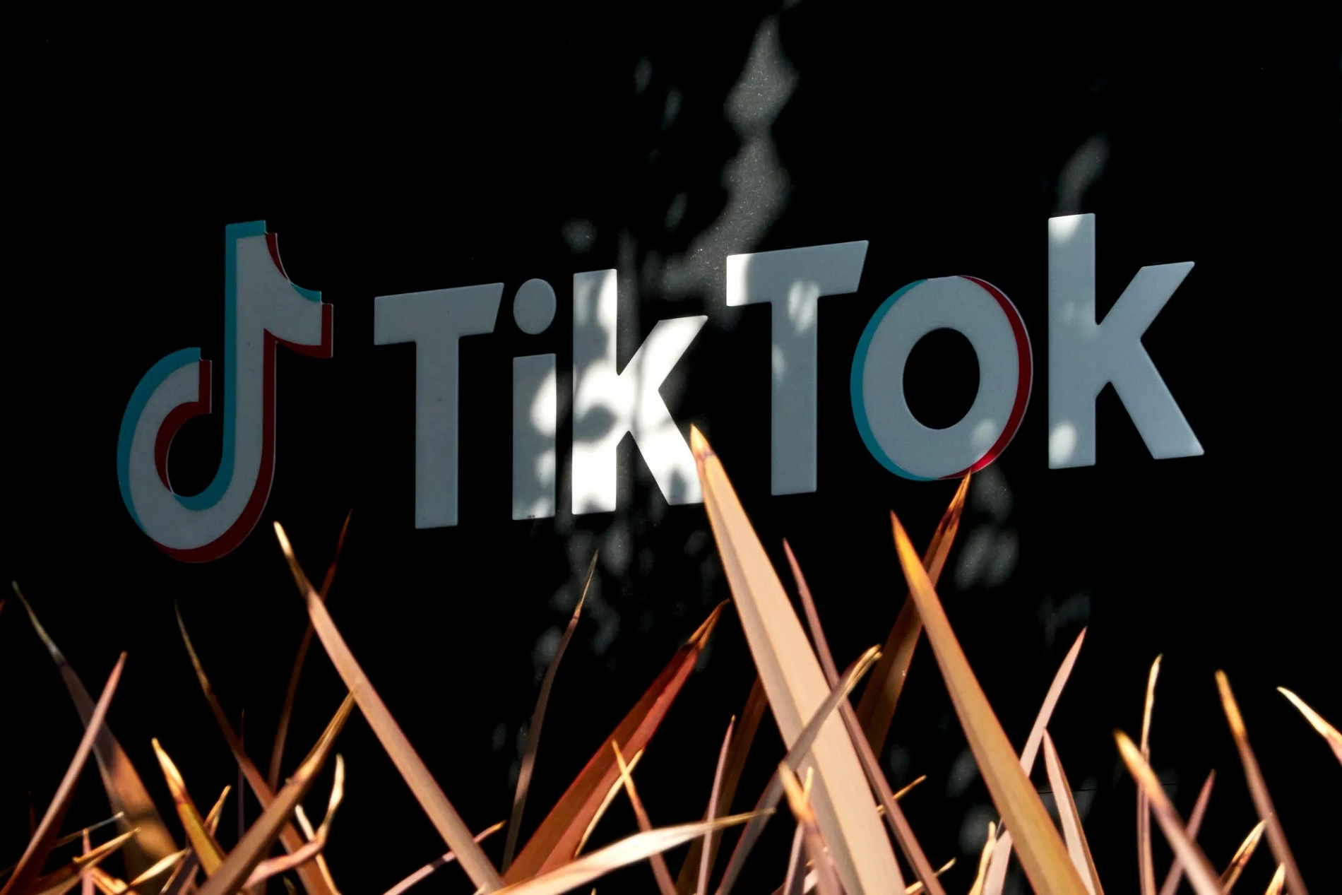 tiktok bloomberg