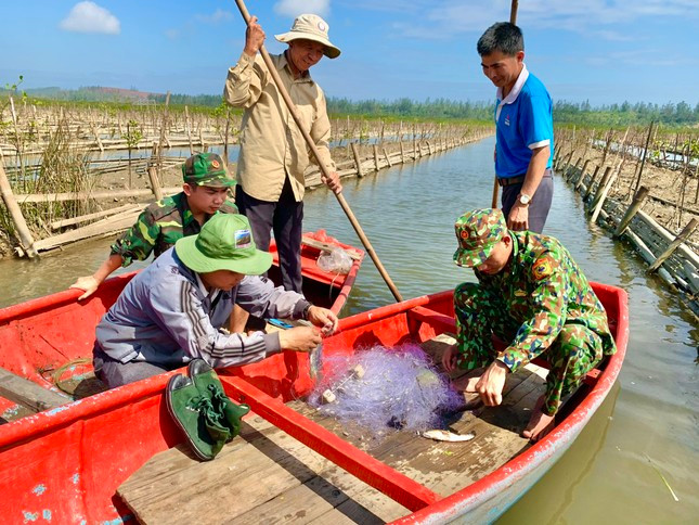 Bất ngờ với rừng ngập mặn giữa lòng khu kinh tế Dung Quất ảnh 10