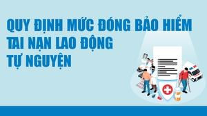 Infographics: Quy định về đóng bảo hiểm tai nạn lao động tự nguyện