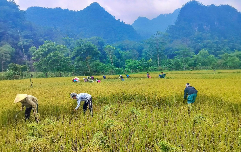 Bộ tộc 'bí ẩn thế giới' ở Việt Nam quen ở hang sâu, leo trèo trên vách đá, sở hữu phép thuật kỳ lạ làm khó khoa học - ảnh 5