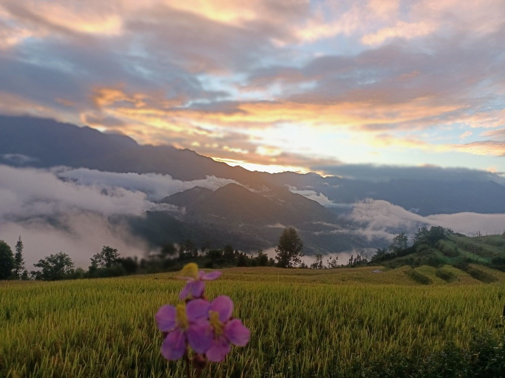 'Ngôi làng trên mây' của Việt Nam nằm ở độ cao 2.000m, thu hút 'phượt thủ' vì đẹp như tiên cảnh - ảnh 2