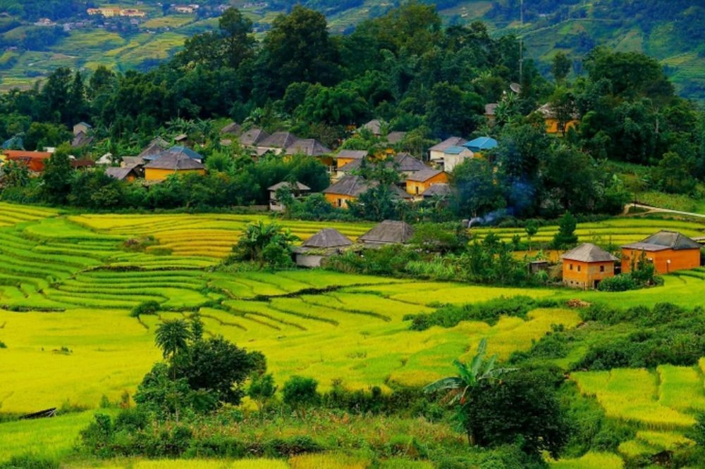 'Ngôi làng trên mây' của Việt Nam nằm ở độ cao 2.000m, thu hút 'phượt thủ' vì đẹp như tiên cảnh - ảnh 4