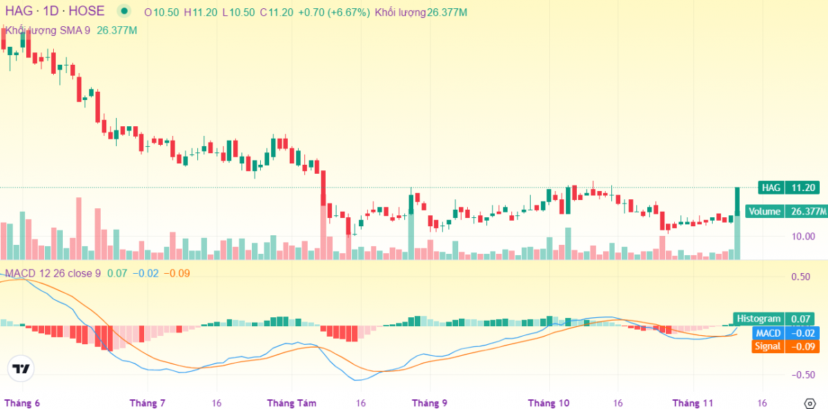 Phiên 12/11: Chứng sĩ đặt mua gần 44 triệu cổ phiếu HAG, 24 lệnh 'cá mập' được khớp