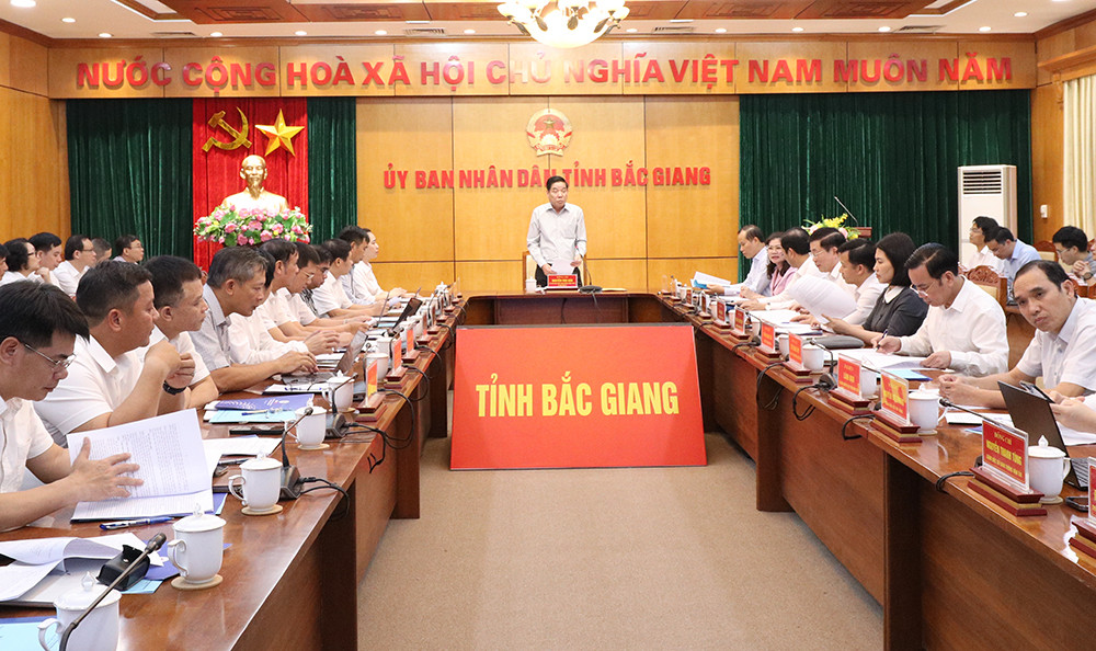 Phối hợp tháo gỡ vướng mắc các dự án lưới điện trọng điểm trên địa bàn Bắc Giang- Ảnh 1.