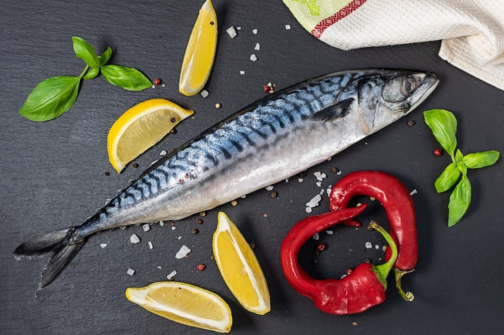 Loài cá là ‘vua’ giàu omega 3 hơn cả cá hồi: Tốt cho trí não, bổ cho tim mạch, dễ dàng tìm mua ở chợ Việt - ảnh 1