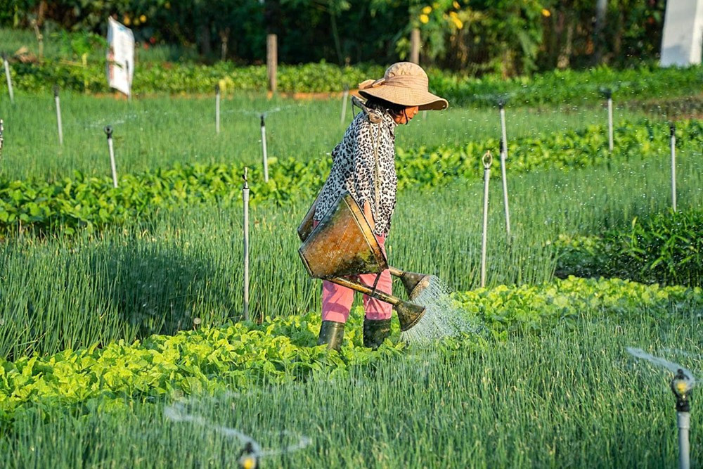 Việt Nam chính thức có thêm một làng du lịch tốt nhất thế giới, là làng rau 400 tuổi ở thành phố đẹp thứ 4 hành tinh - ảnh 2