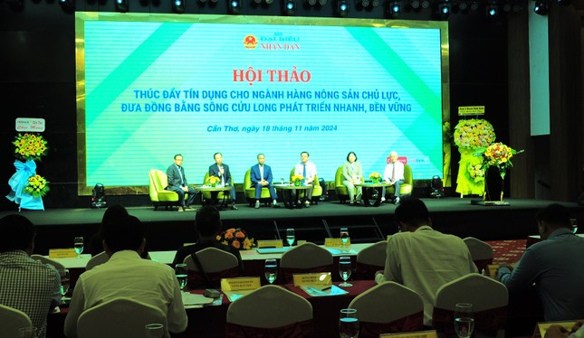 ‘Cho vay trong nông nghiệp rất rủi ro’ ảnh 2