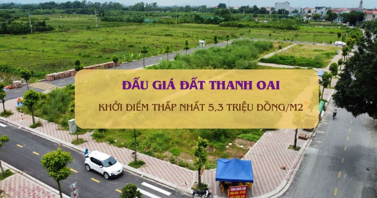 Hà Nội sắp đưa 19 thửa đất vùng ven lên sàn, khởi điểm thấp nhất 5,3 triệu đồng/m2