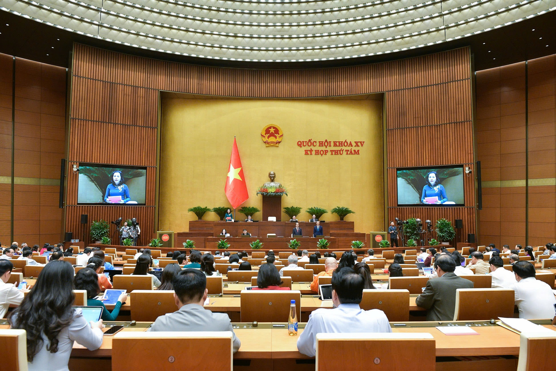 Cần có quy định bảo vệ nhà giáo, giảm thiểu tình trạng bạo lực học đường- Ảnh 1.