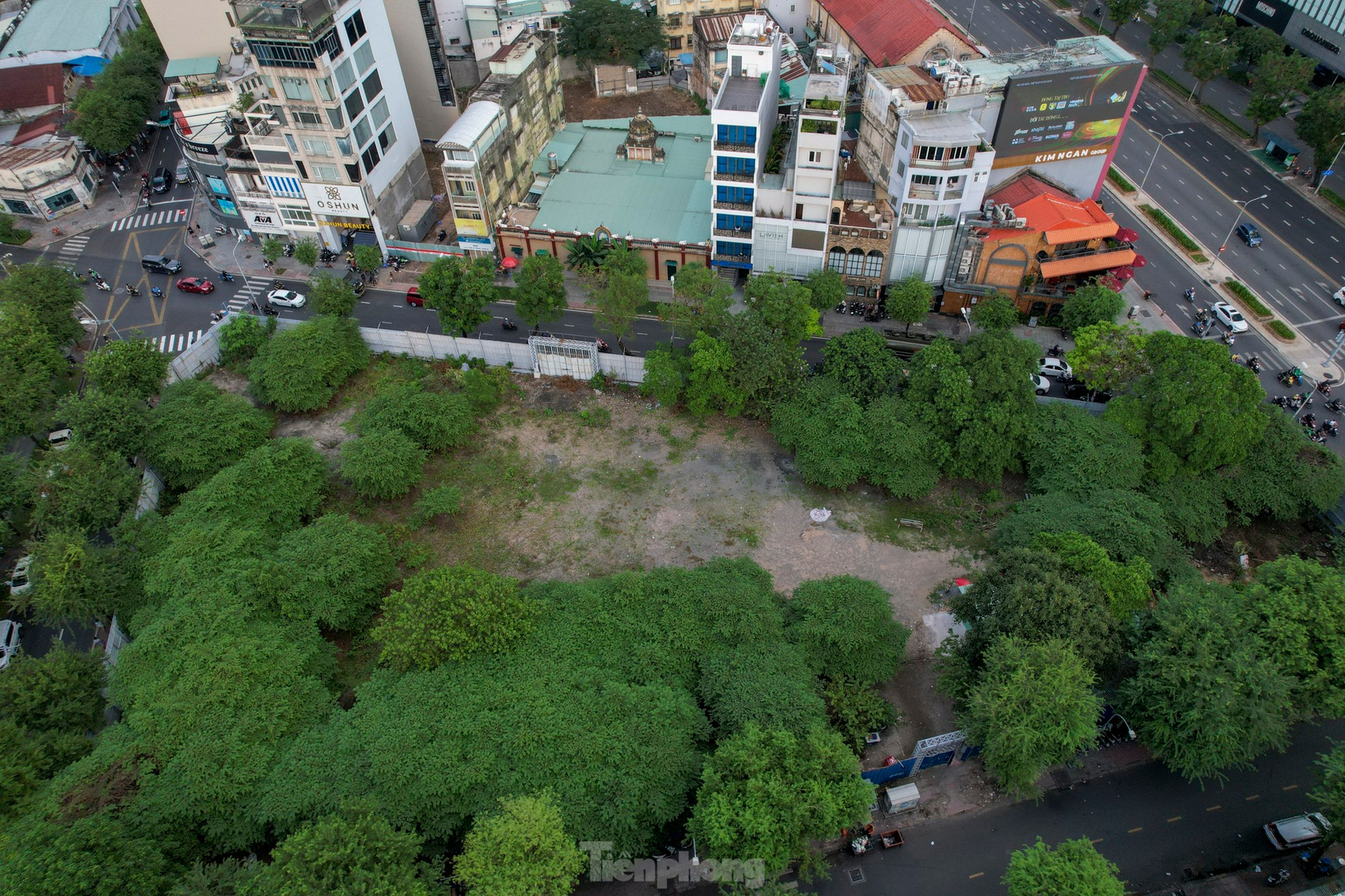 Cỏ hoang um tùm trên đất 'kim cương' nghìn tỷ giữa trung tâm TPHCM ảnh 3