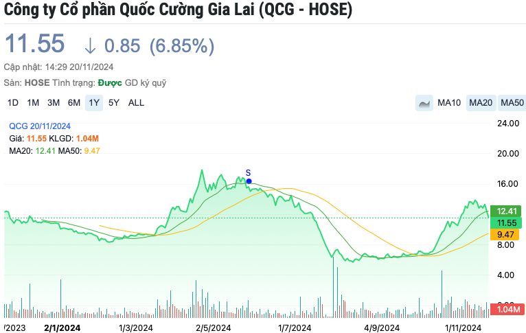 Công ty kiểm toán ký 'khống' BCTC cho Quốc Cường Gia Lai (QCG): DFK Việt Nam kinh doanh ra sao? - ảnh 1