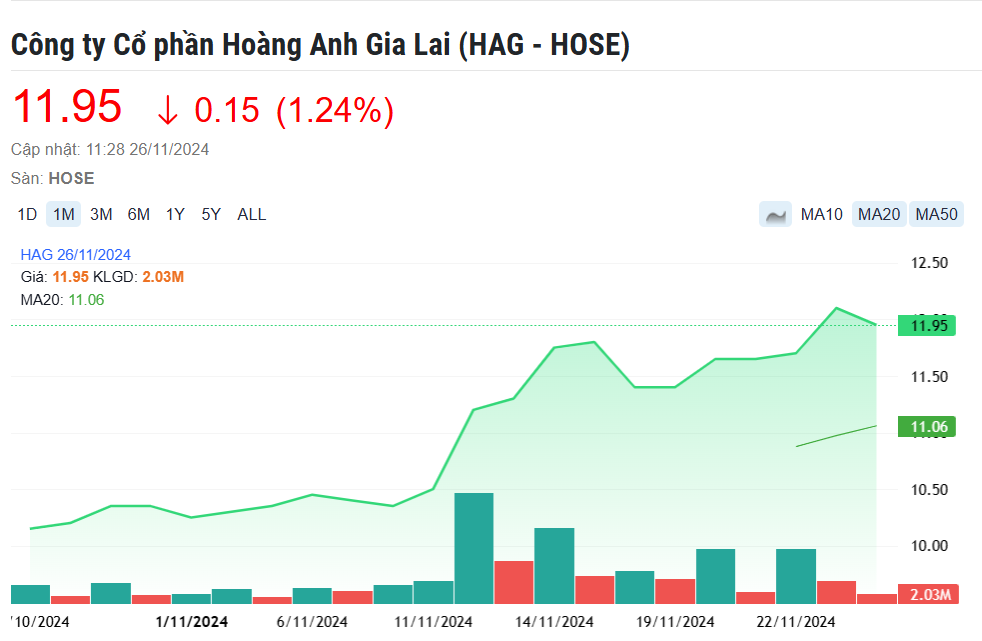 Hoàng Anh Gia Lai (HAG): Người nhà lãnh đạo muốn thoái toàn bộ cổ phần