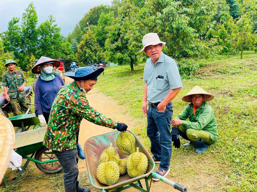 Từ sắt thép đến vườn cây: Công ty vật liệu xây dựng lấn sân sang sầu riêng, bầu Đức không còn một mình