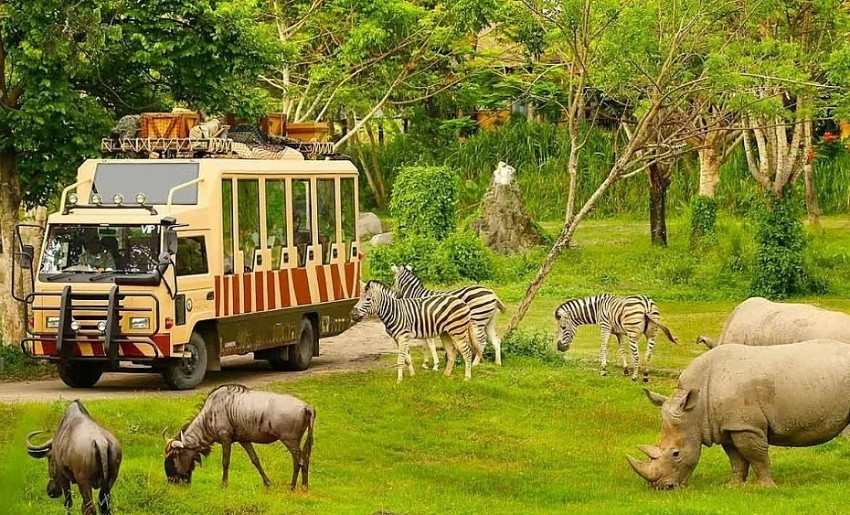 Vinpearl Safari Phú Quốc lọt Top 2 những vườn thú và thủy cung hàng đầu Châu Á