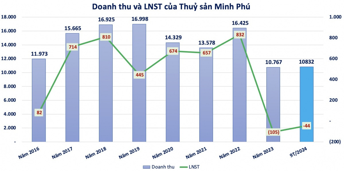 Thuỷ sản Minh Phú (MPC) sắp chi 300 tỷ đồng trả cổ tức