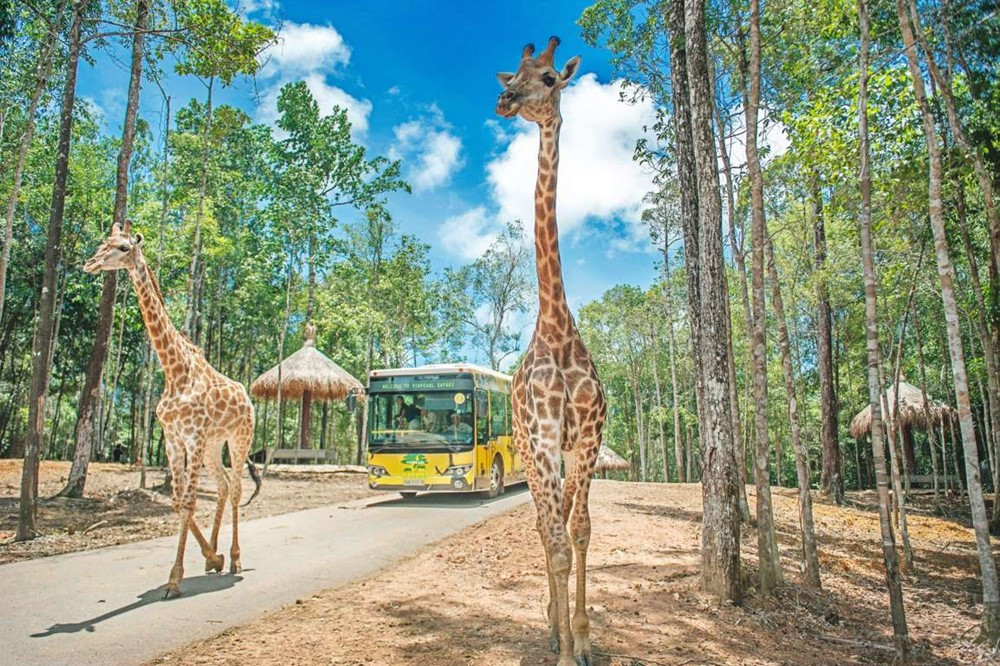 ‘Thiên đường du lịch xanh' của ông Phạm Nhật Vượng được vinh danh top đầu vườn thú và thủy cung tại châu Á - ảnh 2