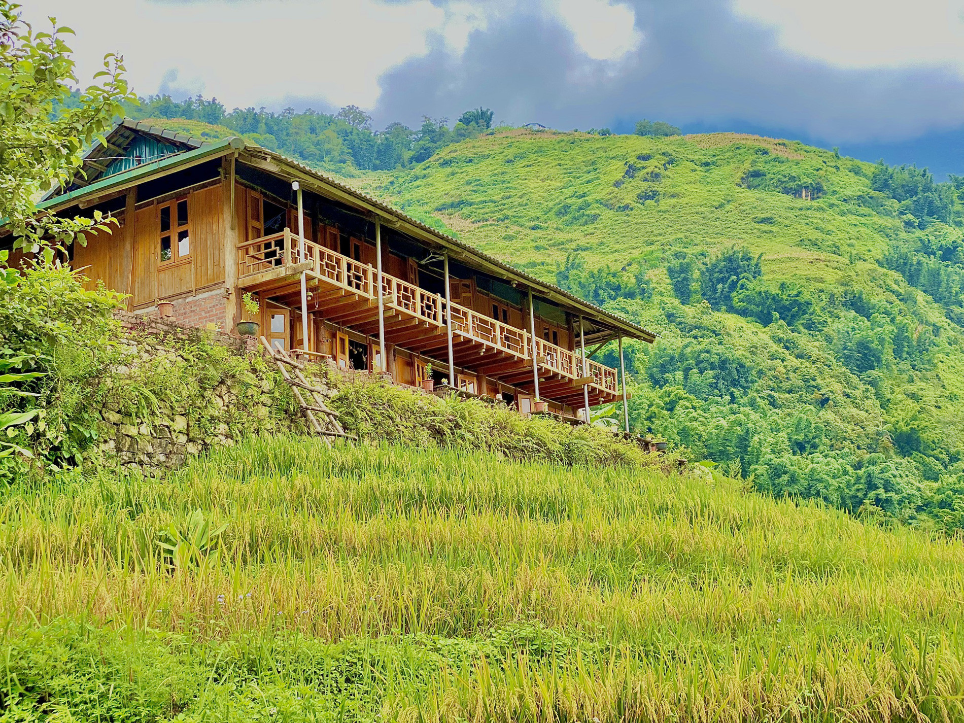 phamhomestay5.jpg