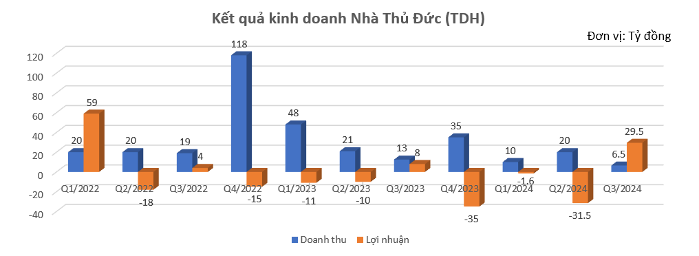 Thuduc House (TDH): Nợ thuế chồng chất, 'ghế nóng' biến động, Chủ tịch muốn thoái sạch vốn