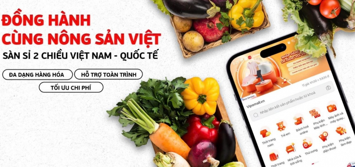 Sắp ra mắt sàn thương mại điện tử bán buôn xuyên biên giới đầu tiên tại Việt Nam