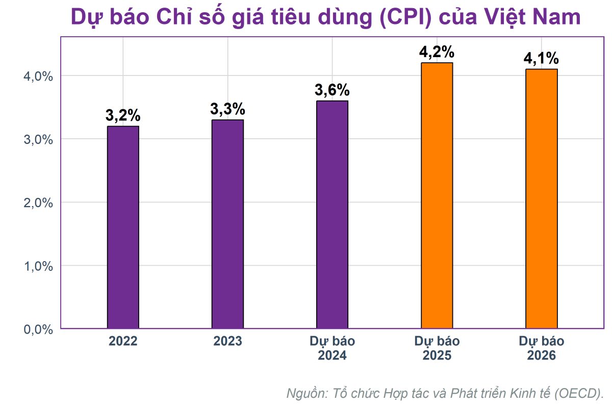 OECD: Việt Nam sẽ tăng trưởng 6,5% vào năm 2025, gấp đôi trung bình thế giới