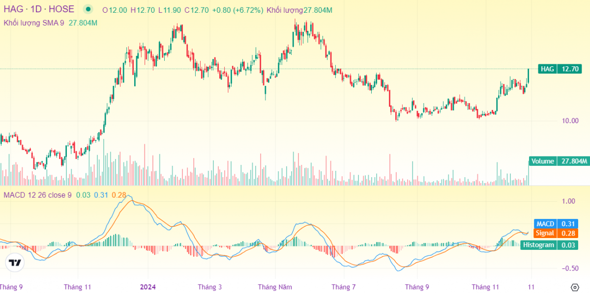 HAGL: 'Trái ngọt' cuối năm 2024 giúp cổ phiếu HAG bứt tốc
