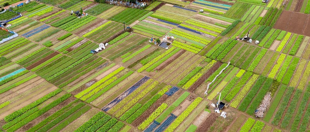 Chính thức công nhận làng rau gần 400 năm tuổi của Việt Nam là 'Làng du lịch tốt nhất thế giới' - ảnh 3