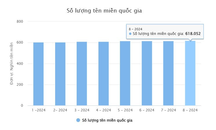 So luong ten mien 2024.jpg