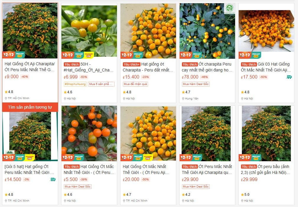 Loại ớt đắt đỏ bậc nhất thế giới giá lên tới 800 triệu đồng/kg từng tạo cơn sốt tại Việt Nam hiện tại ra sao?