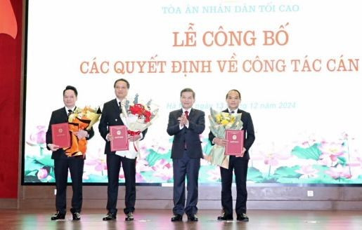 Chủ tịch nước bổ nhiệm Phó Chánh án Tòa án nhân dân Tối cao ảnh 1