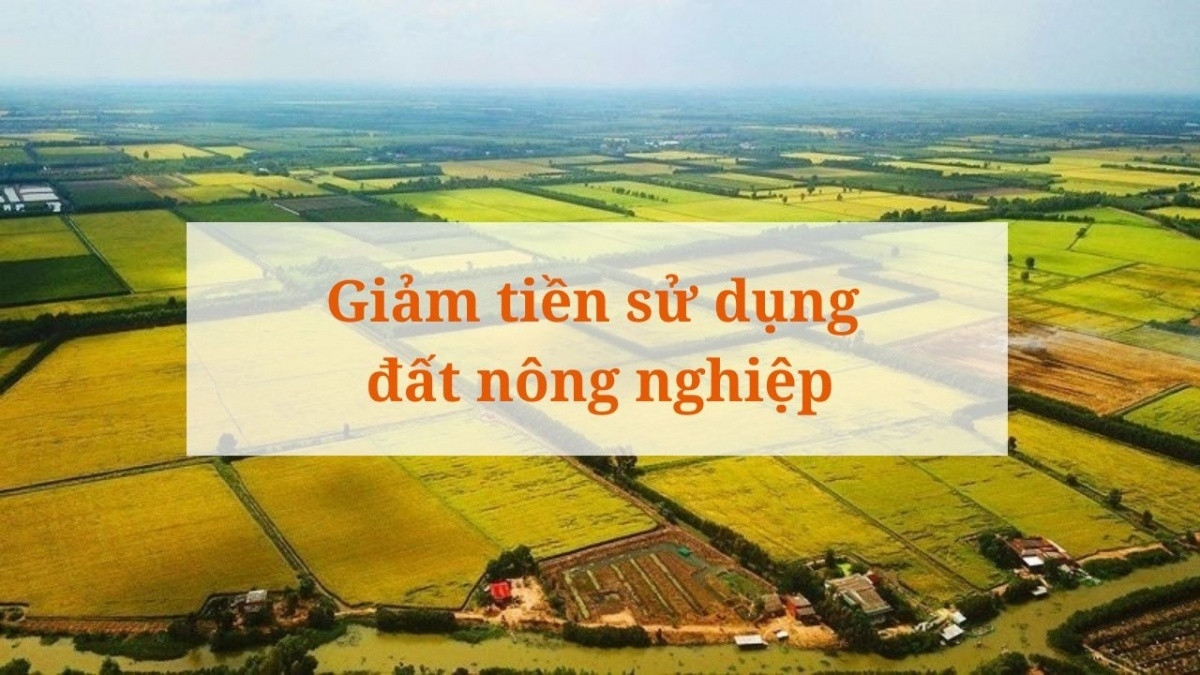 Từ bây giờ, 6 trường hợp sẽ được giảm tiền thuê đất nông nghiệp