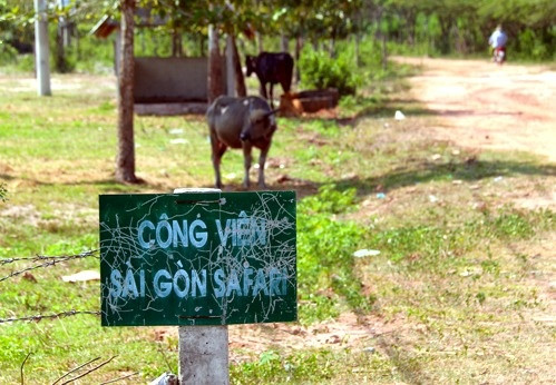 Dự án công viên Sài Gòn Safari sau 13 năm vẫn là cánh đồng hoang. Ảnh: Trung Sơn.